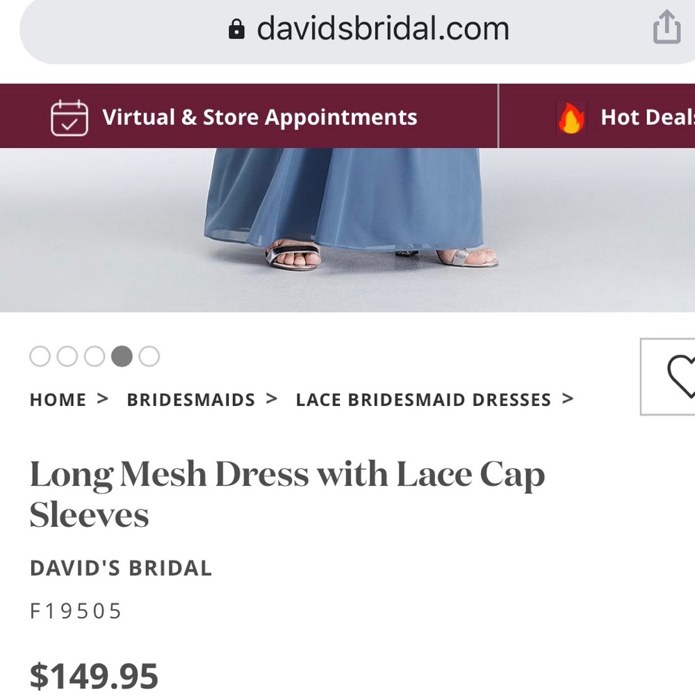 David’s Bridal Bridesmaid Long Mesh Dress